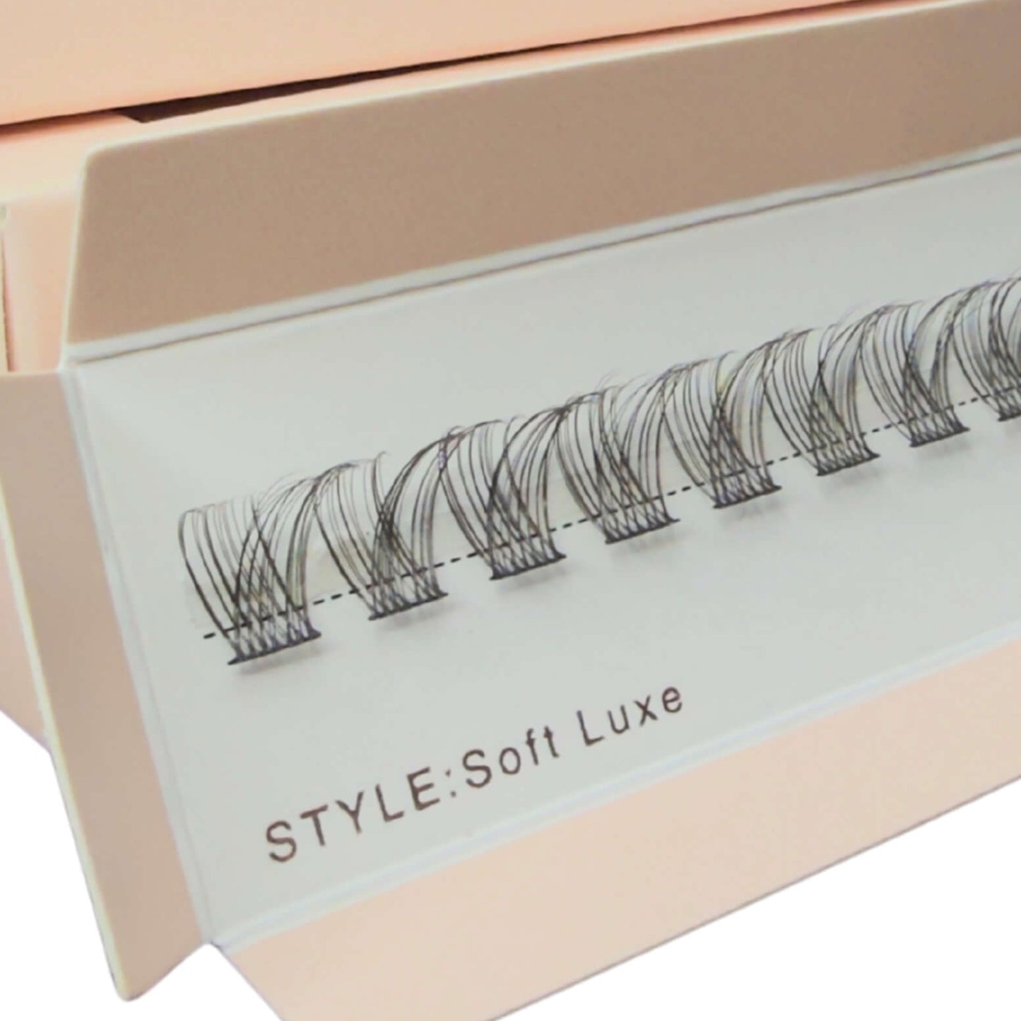 Eyelash extensions in a beige box with 'DreamLashUK' branding on a white background