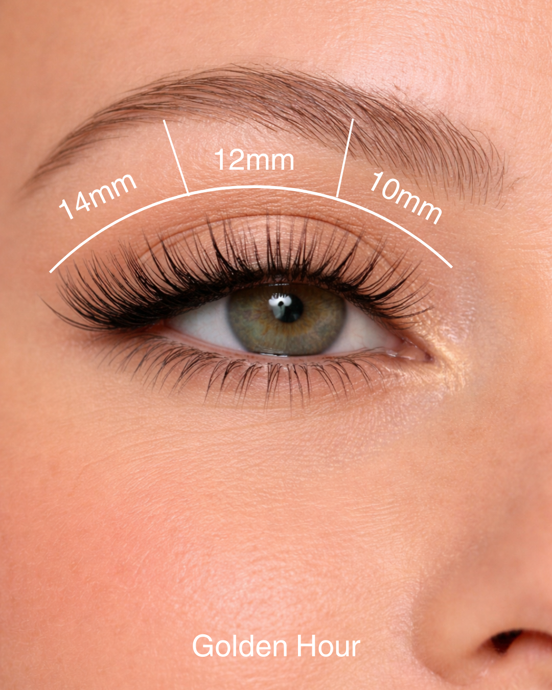 Ultimate Lash Lovers Bundle